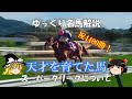 ゆっくり名馬解説　スーパークリークについて