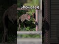 Carnotaurus Showcase | JWE 2 + 3 |