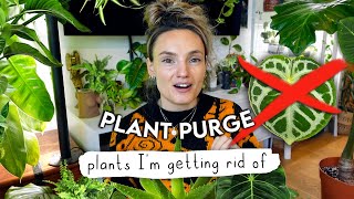 Why I'm Getting Rid Of These Plants... Houseplants I Wouldn't Buy Again