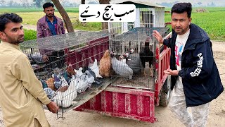 Zoo Ke Birds Sale Kr Diye 