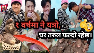 आफन करस बरक घर तरल यसत भएछ १ वरषम Vnr Vlog Aafnai Karesa Barima Ghartarul