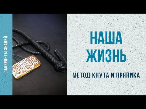 Метод кнута и пряника - Лабиринты Знаний