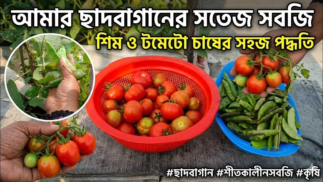 আজকে আমাদের দুইটা বাড়ি আপনাদের সাথে সেয়ার করবো