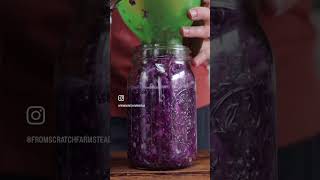 How to Make Red Cabbage Sauerkraut #sauerkraut #fermentedfoods #shorts