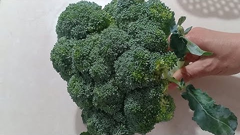 ĂN NHIỀU SÚP LƠ XANH CẦN LƯU Ý NHỮNG ĐIỀU GÌ ?