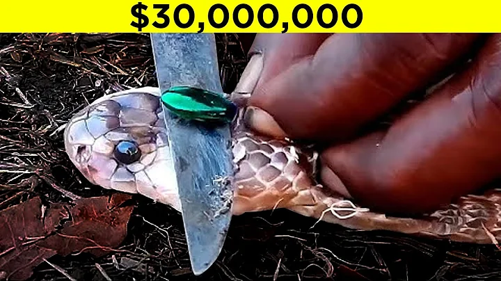 You'll be a Millionaire if You Find This Stone! - DayDayNews