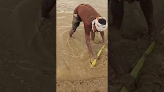 Odhani Ke Kor Se Tu Pochha Apan Lor Tranding Bhojpuri Song । # Tranding YouTube Shorts । # Bhojpuri
