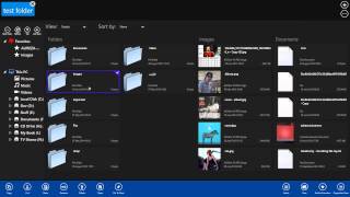 Explorer8: Combined TreeView and Favorite List