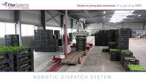 Robotic Dispatch System at de Koster