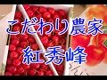 山形さくらんぼ紅秀峰 こだわりすぎた農家達の通販。お中元果物ギフト販売。Benisyuho Japanese cherry