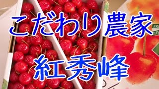 山形さくらんぼ紅秀峰 こだわりすぎた農家達の通販。お中元果物ギフト販売。Benisyuho Japanese cherry