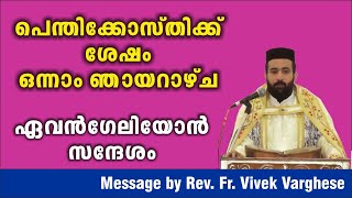 Evengelion Message By Rev Fr Vivek Varghese