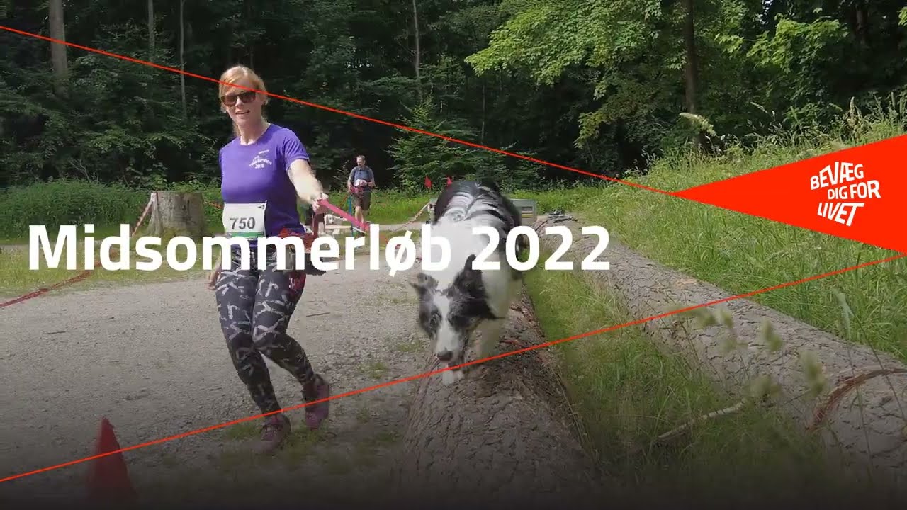 dvs. Legeme Diligence Sportstiming - Midsommerløb med hund 2023