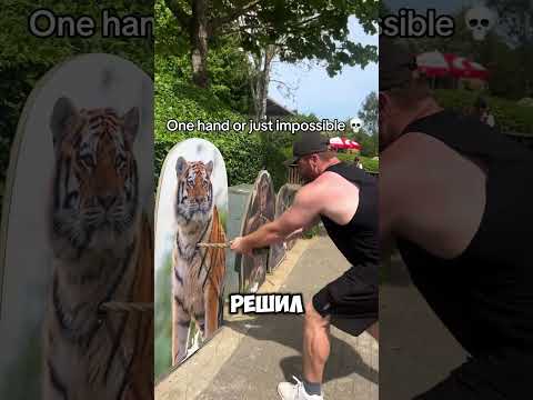 Культурист против тигра 🐅💪 #факты