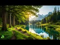 Calm Your Mind With Beautiful Relaxing Music 🌿Soothing Music For The Nerves