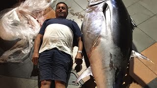 picada de atún rojo en el estrecho 👌👍💪🎣🐟🤦🏻‍♂️ fishing tuna in estrecho Gibraltar