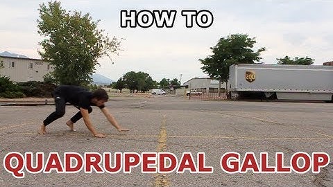 How to QUADRUPEDAL GALLOP (beginner parkour tutorial)
