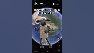 Shaun the Sheep 🐑 in real life on Google Earth #shorts #googleearth #exploresandadventure #viral
