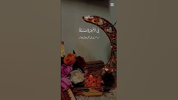 سورة البقرة❤️❤️🌸