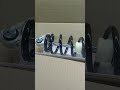 Аморты Русам для Аодес
