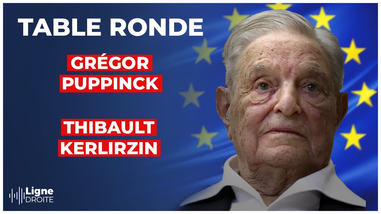 ⁣Europe : comment George Soros et Bill Gates ont infiltré la CEDH