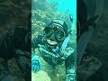 Catching My Food with Underwater Bow and Arrow