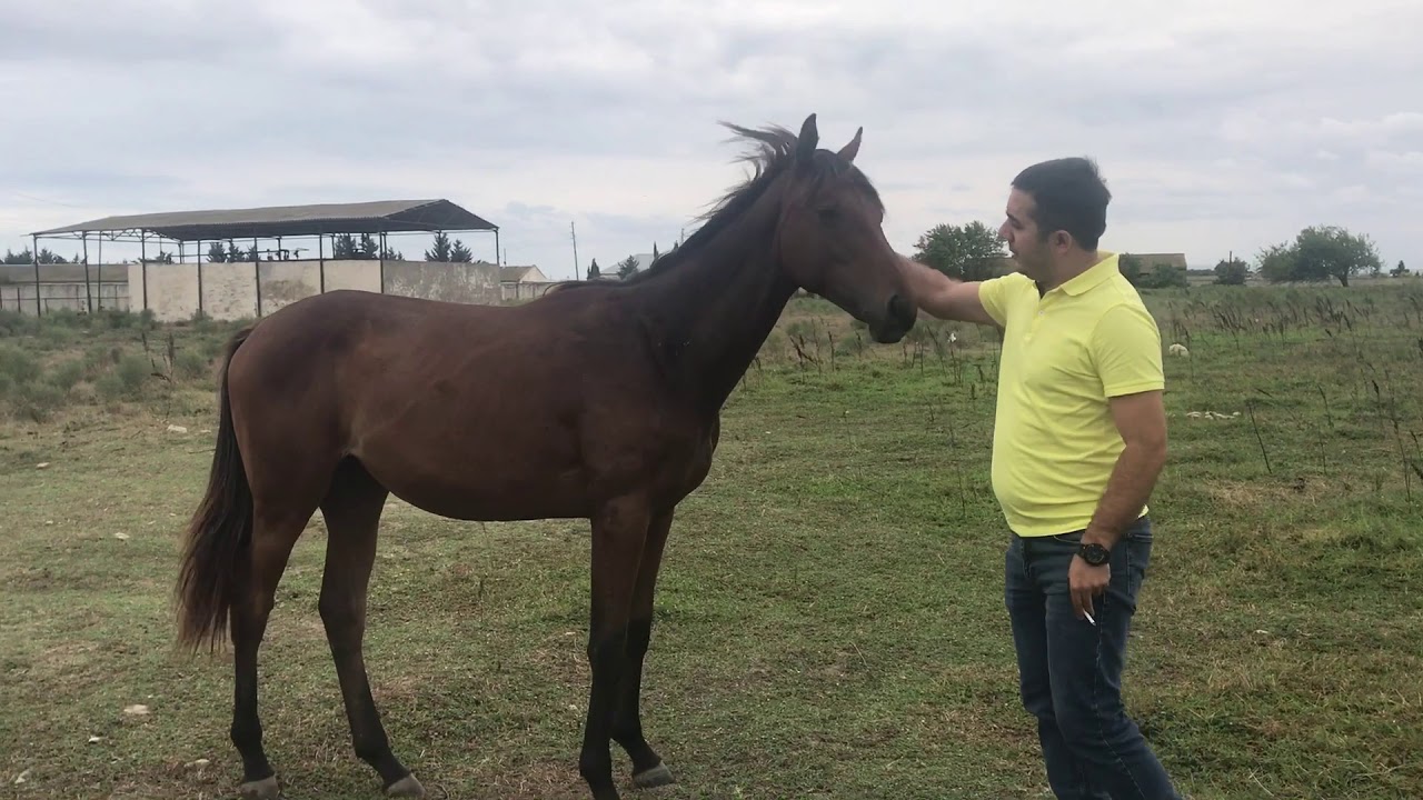 Gence-Baki-Mashtaga seferimiz 1