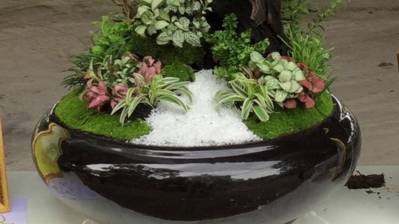 รวมสวนถาดสวย ๆ ไว้เพื่อมาเป็นแนวทาง ในการจัดสวนถาดหลังบ้าน ด้วยตนเอง