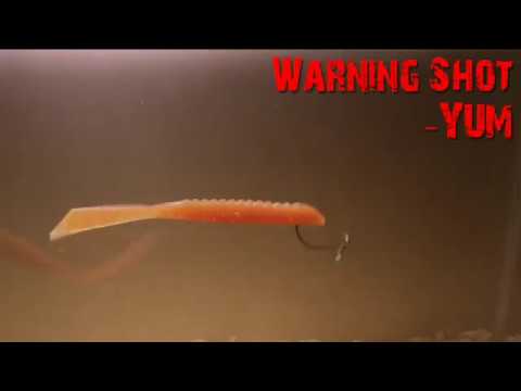 YUM Warning Shot video