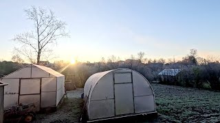 видео: Дураками же родятся... Почему я это не сделала, теперь расплачиваюсь..  картинка: Дураками же родятся... Почему я это не сделала, теперь расплачиваюсь..