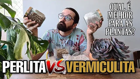 O que é perlita para plantas?