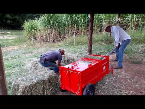 Vídeo: Como Fazer Um Primus