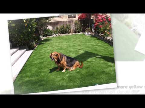 synthetic-grass-for-dog-runs-areas-in-california
