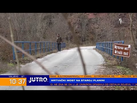 Video: Da li ste mrtvački potentilla?