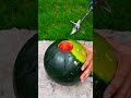 Ingenious Trick to Juicing a Whole Watermelon in Seconds #machine #stickwelding #weldwheels