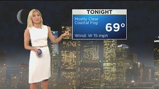 Jackie Johnsons Weather Forecast July 28