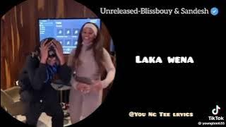 Shandesh & Blissbouy Unreleased #music #bliss #xigaza #lekompo #shandesh #love #newmusic #comingsoon
