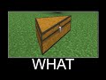 Wait What Minecraft Meme - part 175