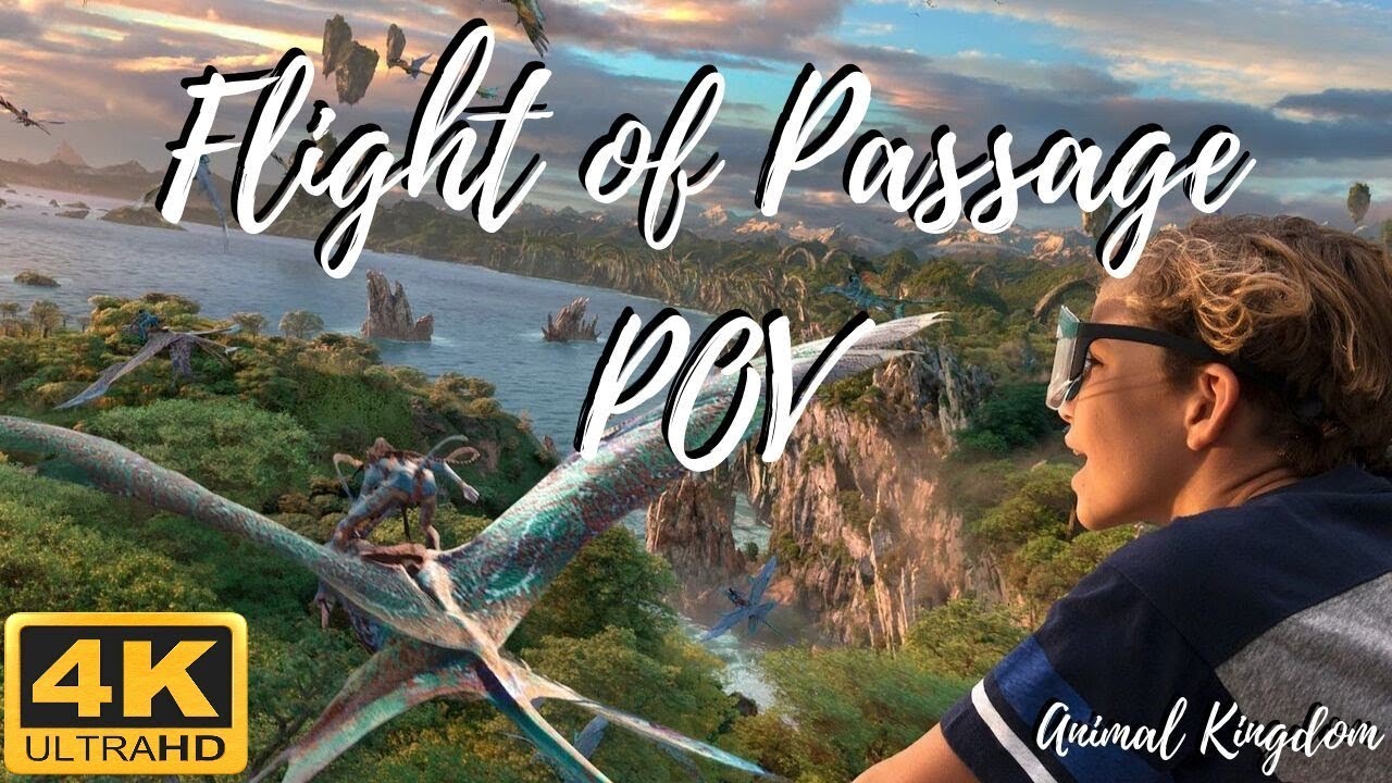 Flight of Passage - Pandora in Animal Kingdom - POV - 4K - YouTube
