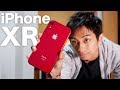 僕がiPhone XR Product REDを選ぶ理由