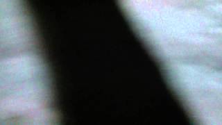 Rattling noise 2002 protege5