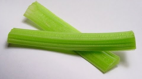 Discovery: optical sorter for celery | RAYTEC VISION SpA