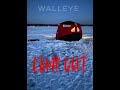 Walleye Overnight on lake Cadillac