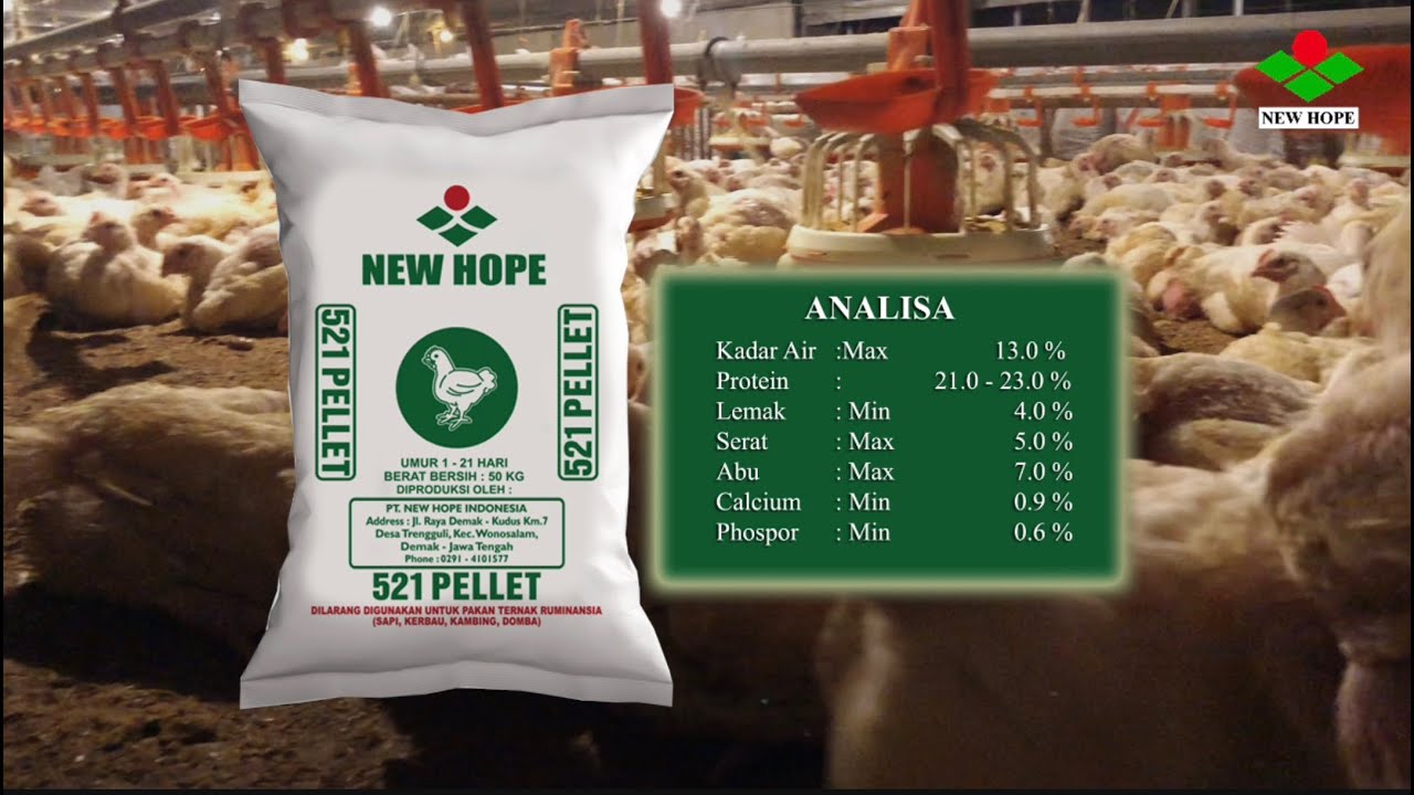 NEW HOPE JAWA TENGAH (DEMAK) | PAKAN AYAM BROILER DAN LAYER | VIDEO