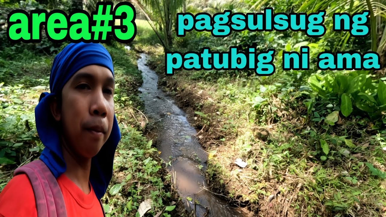 Pagpapatubig sa palayan ng aking ama