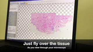 Pathobintools Whole Slide Microscope Imaging Using Uav Technology