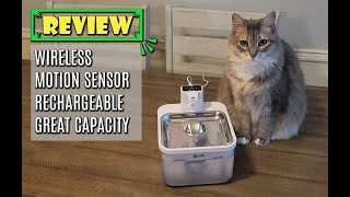 No More Cables: DownyPaws Wireless Stainless Steel Cat Water Fountain