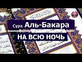 Сура Аль Бакара! На всю ночь. Очень красивое чтение Корана!