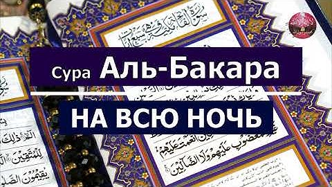 Сура Аль Бакара! На всю ночь. Очень красивое чтение Корана!