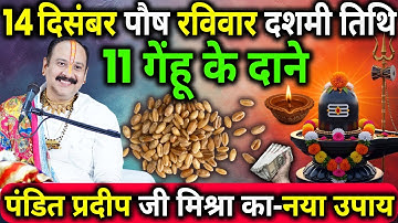 14 दिसंबर पौष रविवार दशमी तिथि के दिन 11 गेंहू के दाने वाला उपाय जरुर करे || Pradeep Ji Mishra